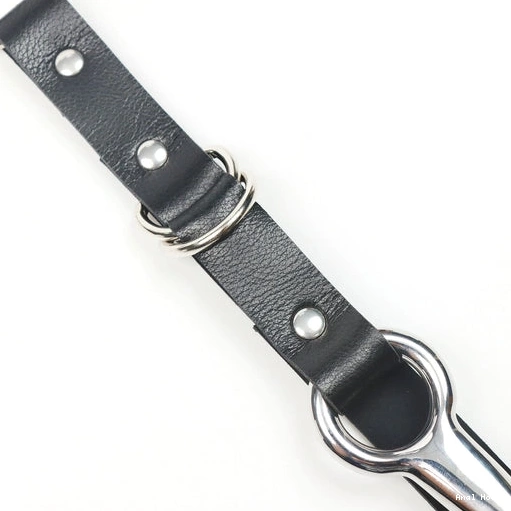 5853 Hook with Anal EverydayUse Collar Leash Kinky and 1207